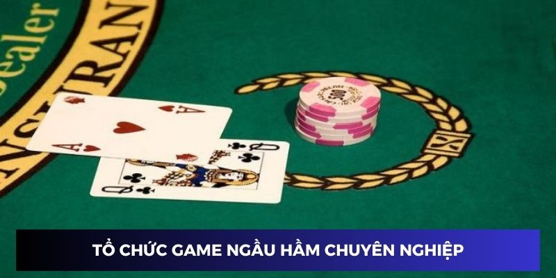 Tổ chức game ngầu hầm online chuyên nghiệp